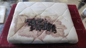 Обучение по чистке мебели и ковров: материалы и пятна (семинар)